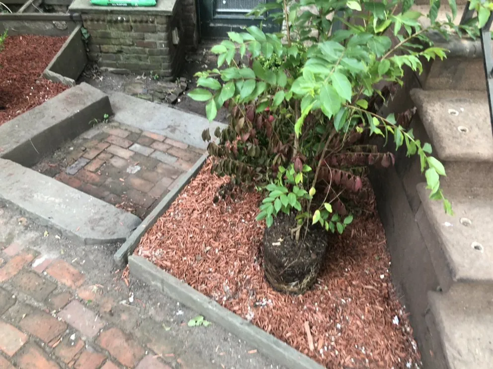 Expert landscape installation in New Haven, CT - Moe’s Landscaping and Home Improvement