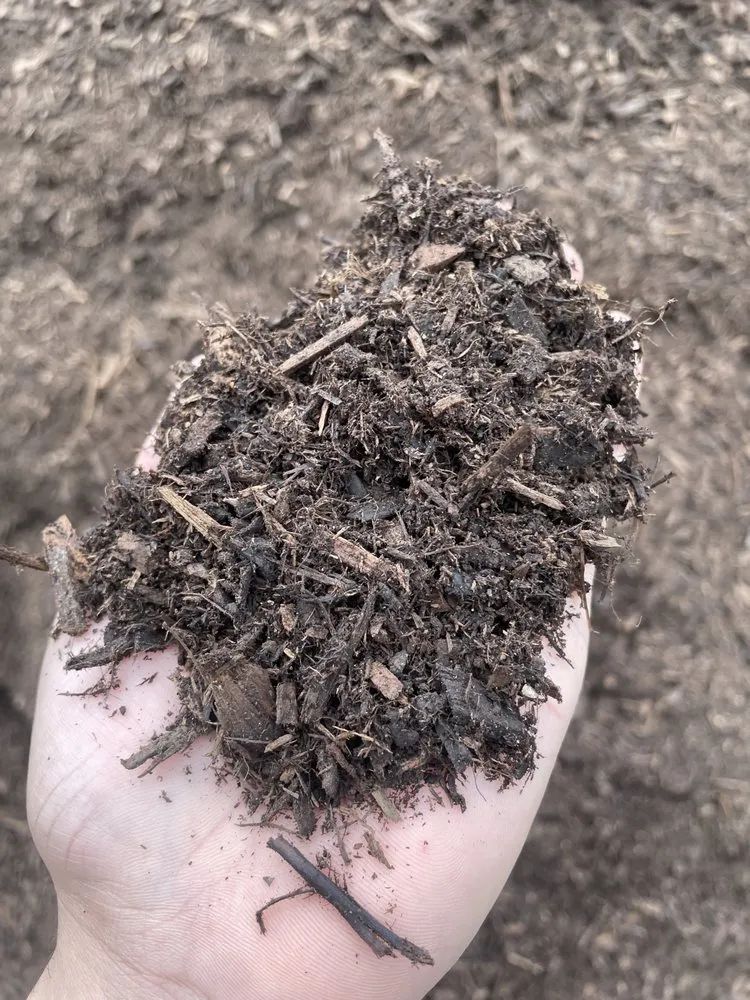 Reliable landscape installation for year-round maintenance in Saint Louis, MO by Moe’s Landscaping