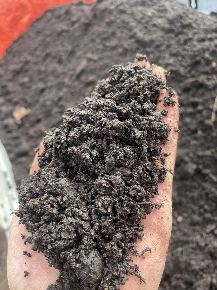 Affordable yard maintenance in Saint Louis, MO by Moe’s Landscaping