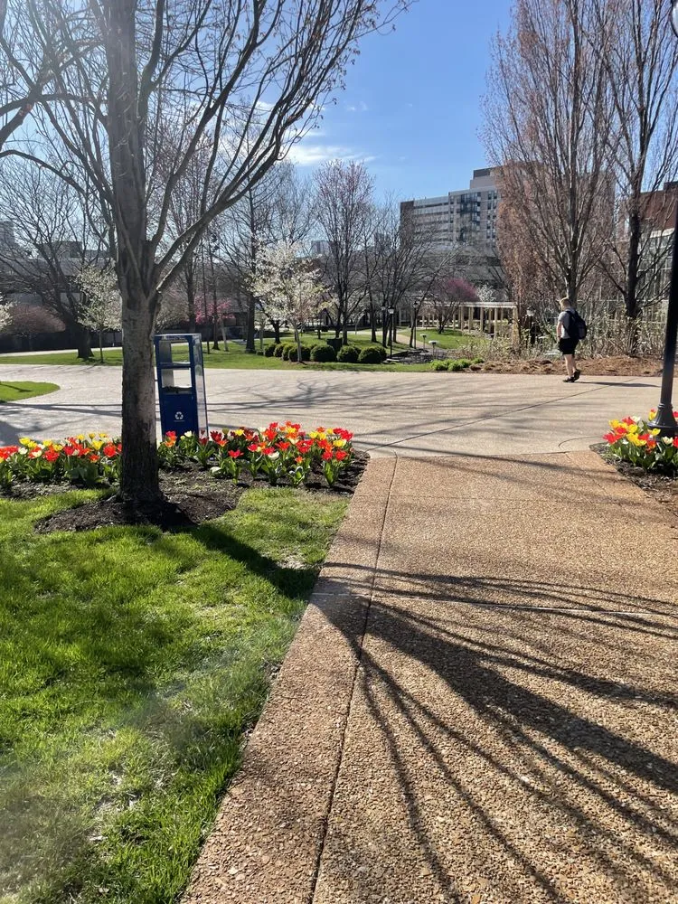 Custom yard maintenance experts serving Saint Louis, MO - Moe’s Landscaping