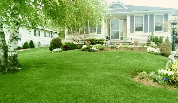 Professional garden landscaping in Norfolk, VA - Moe's Lawn Care