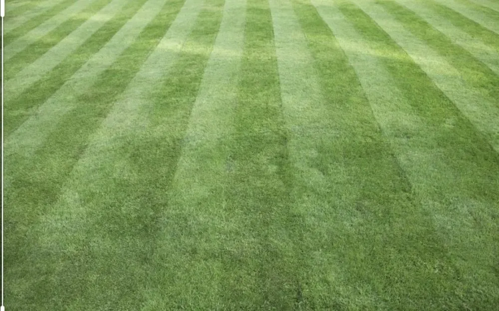 Trusted garden landscaping in Norfolk, VA - Moe's Lawn Care