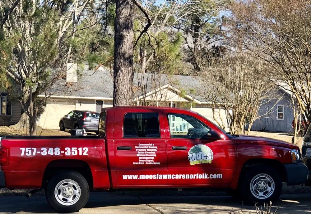 Expert yard cleanup service near you in Norfolk, VA by Moe's Lawn Care