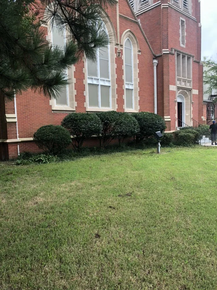 Top-rated yard cleanup service in Norfolk, VA by Moe's Lawn Care