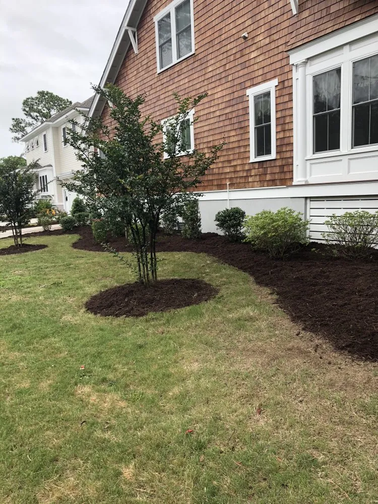 Professional lawn mowing service experts serving Norfolk, VA - Moe's Lawn Care