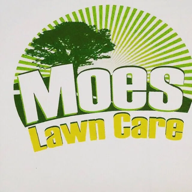 Expert yard cleanup service in Norfolk, VA by Moe's Lawn Care
