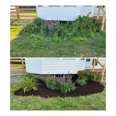 Moe’s Perennials & Landscape Design