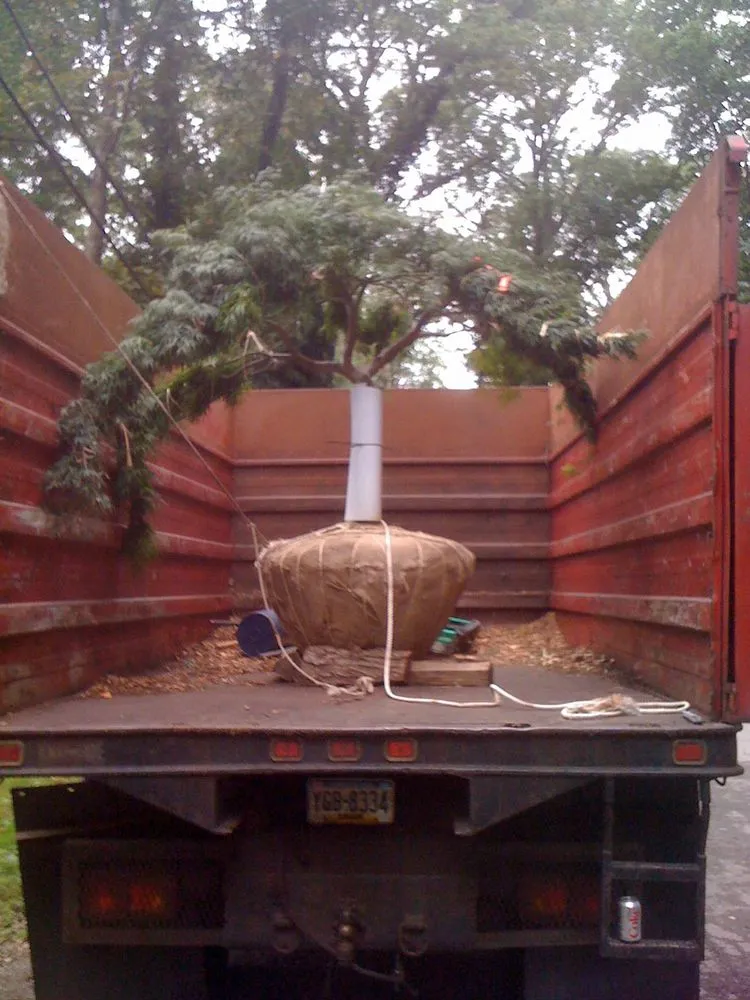 Trusted yard maintenance in Newtown Square, PA by Moffett Landscaping