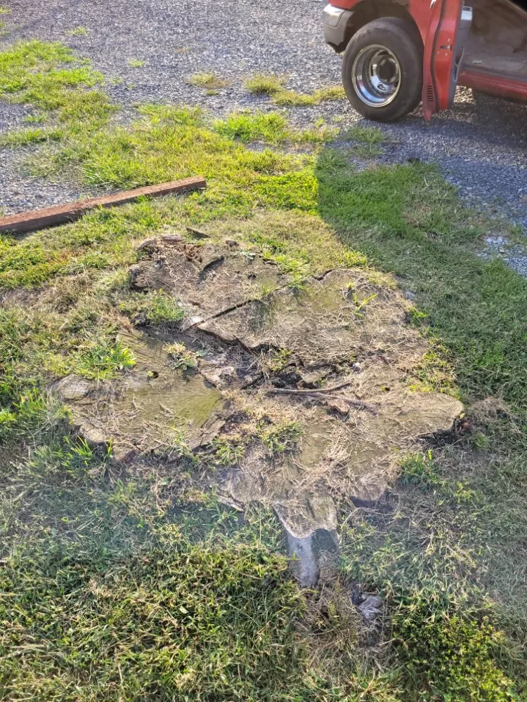 Top-rated outdoor landscaping in Saltville, VA by Mofia Turf Care