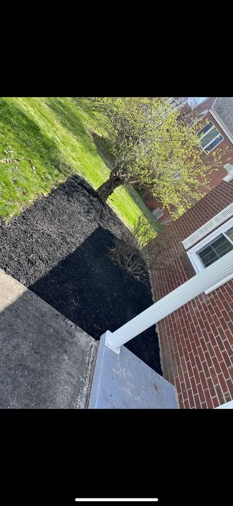 Top-rated residential landscaping for year-round maintenance in Kitts Hill, OH by MOG Properety Management