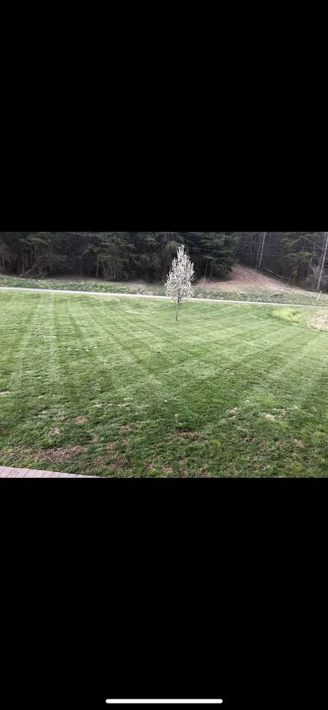 Expert lawn mowing service for residential properties in Kitts Hill, OH by MOG Properety Management