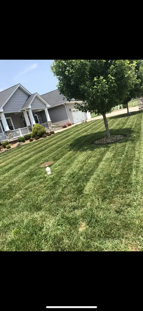 Affordable residential landscaping experts serving Kitts Hill, OH - MOG Properety Management