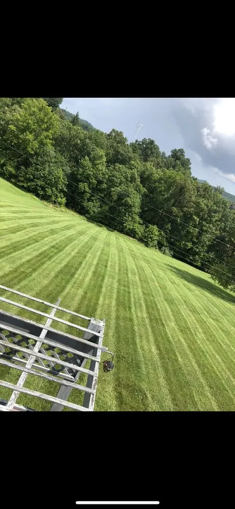 Expert lawn care service in Kitts Hill, OH by MOG Properety Management