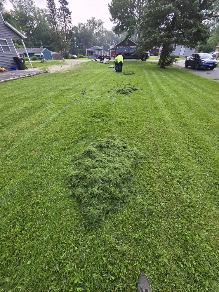 Professional outdoor landscaping in Spring Grove, IL - Moganzer