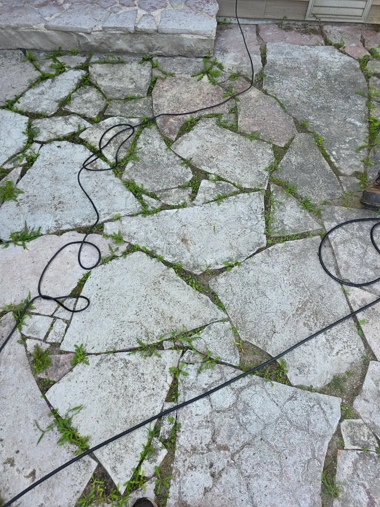 Reliable yard maintenance experts serving Spring Grove, IL - Moganzer