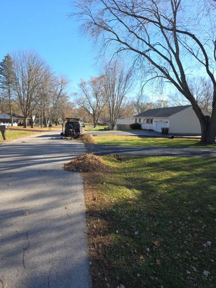 Professional landscape design in Spring Grove, IL by Moganzer