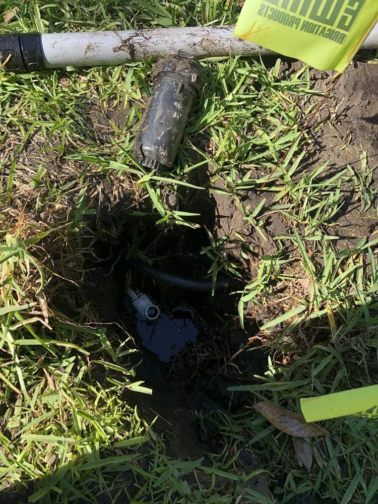 Local yard cleanup service in Jacksonville, FL - Mogul Irrigation