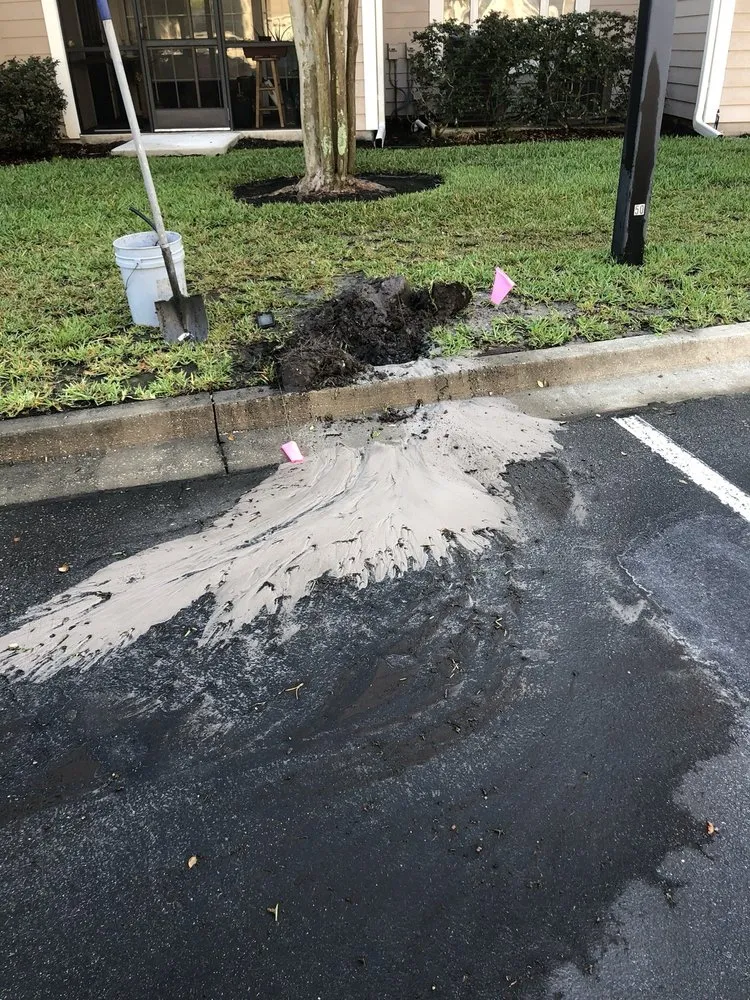 Local yard cleanup service in Jacksonville, FL by Mogul Irrigation