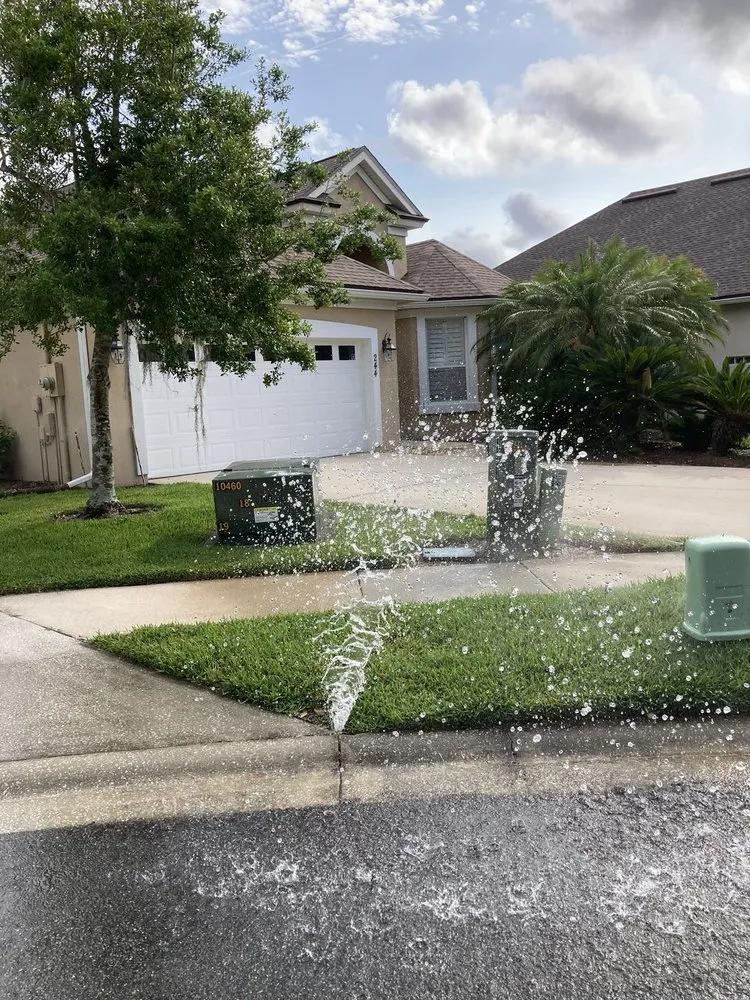 Local landscape installation in Jacksonville, FL - Mogul Irrigation