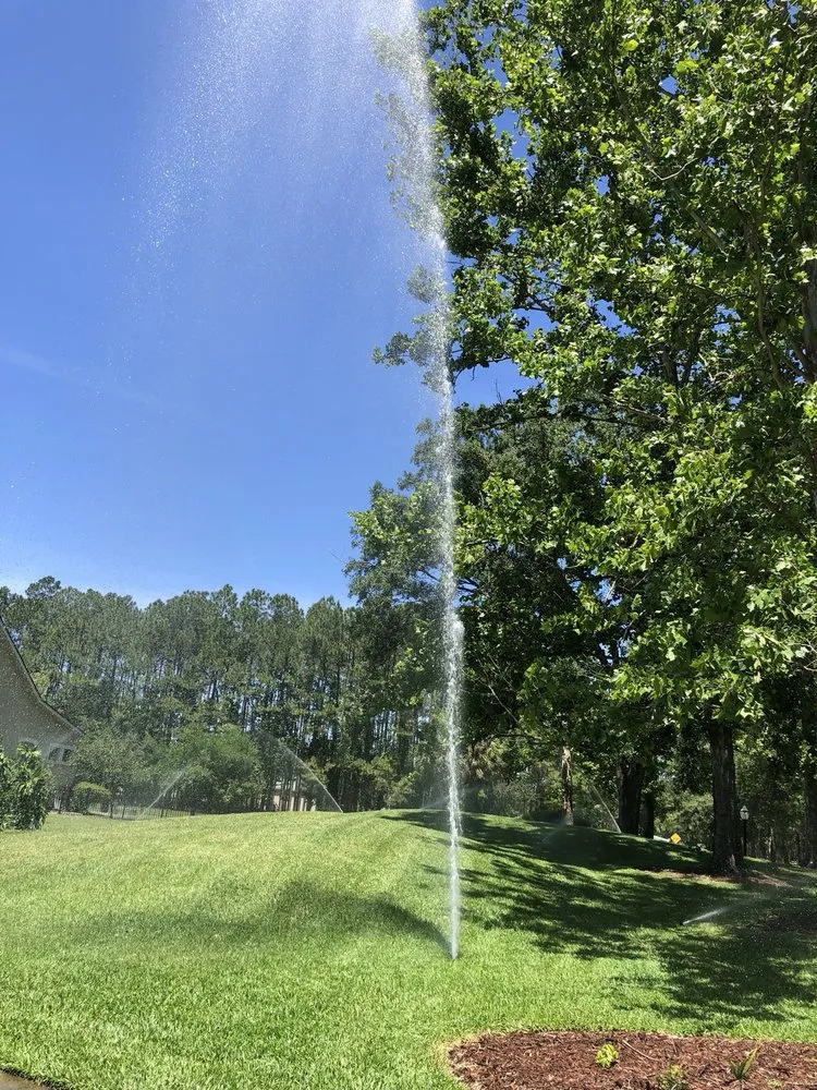 Top-rated garden landscaping experts serving Jacksonville, FL - Mogul Irrigation