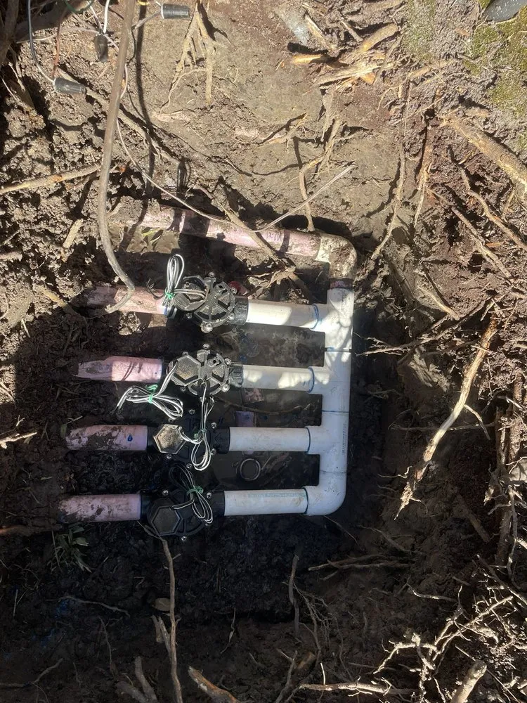 Expert landscape design for outdoor upgrades in Jacksonville, FL by Mogul Irrigation