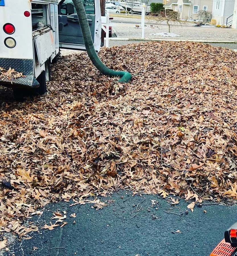 Top-rated yard maintenance for residential properties in Osbornville, NJ by Mogz Lawn And Landscape
