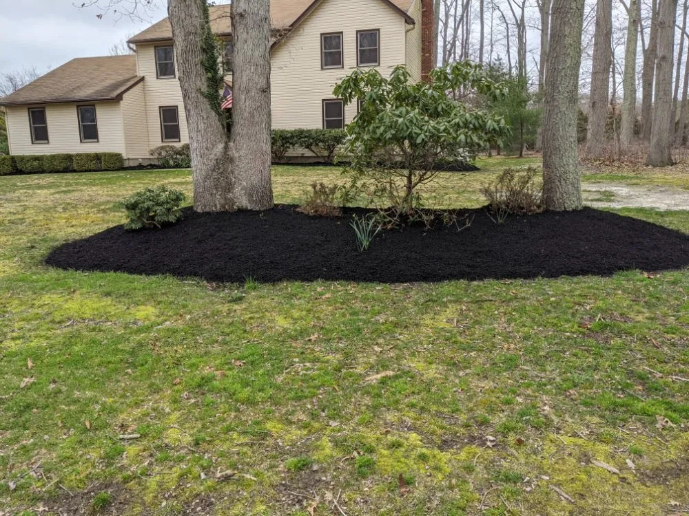 Reliable yard maintenance experts serving Osbornville, NJ - Mogz Lawn And Landscape