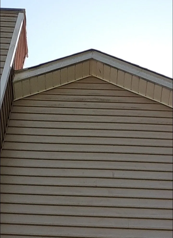 Affordable landscape installation for outdoor upgrades in Morrisville, NC by Mohar Brothers Landscaping