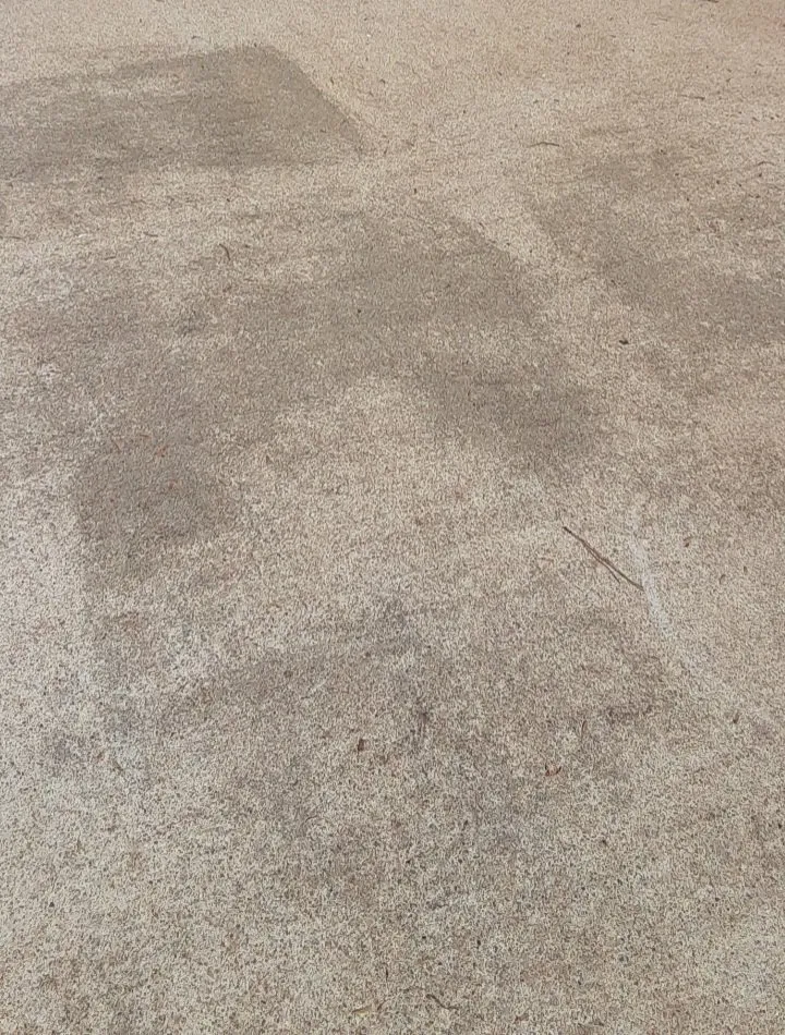 Expert lawn care service experts serving Morrisville, NC - Mohar Brothers Landscaping