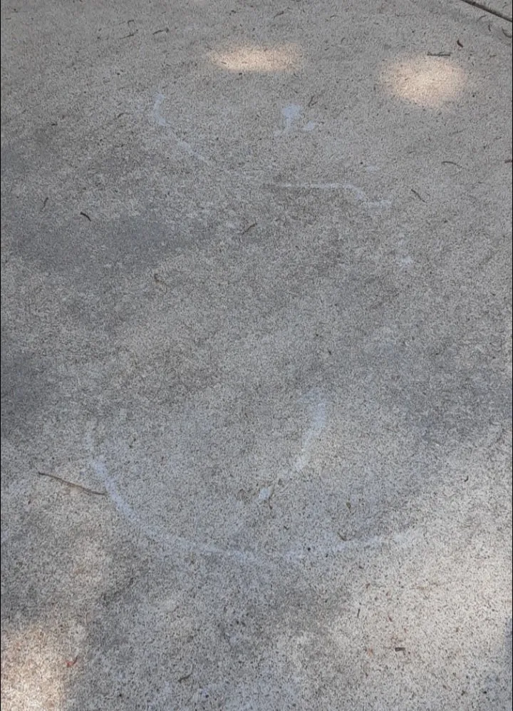 Top-rated outdoor landscaping experts serving Morrisville, NC - Mohar Brothers Landscaping