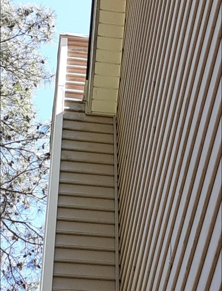 Trusted yard cleanup service in Morrisville, NC - Mohar Brothers Landscaping