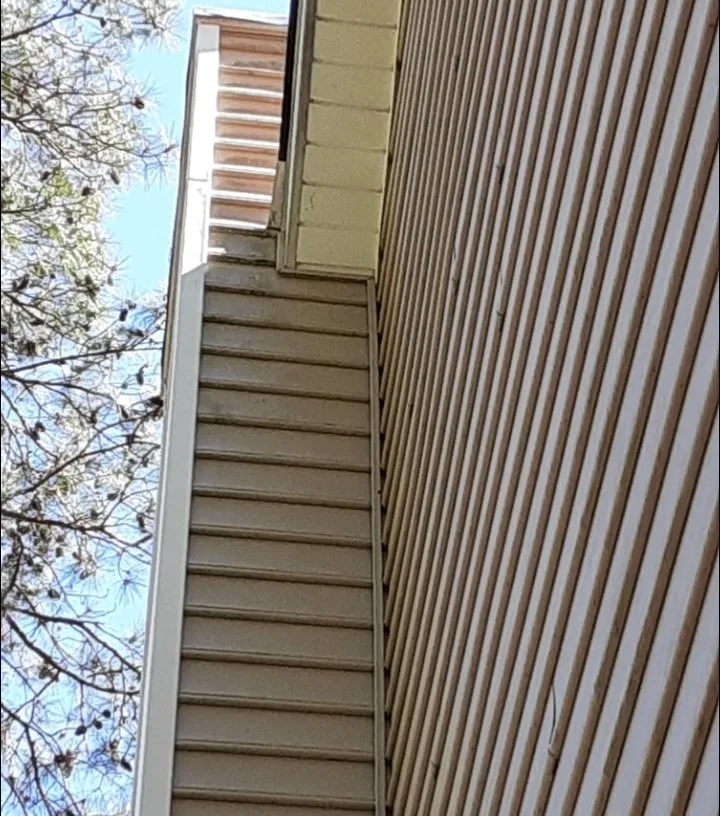 Local lawn care service in Morrisville, NC by Mohar Brothers Landscaping