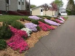 Local residential landscaping in Raleigh, NC - Mohar Brothers Landscaping