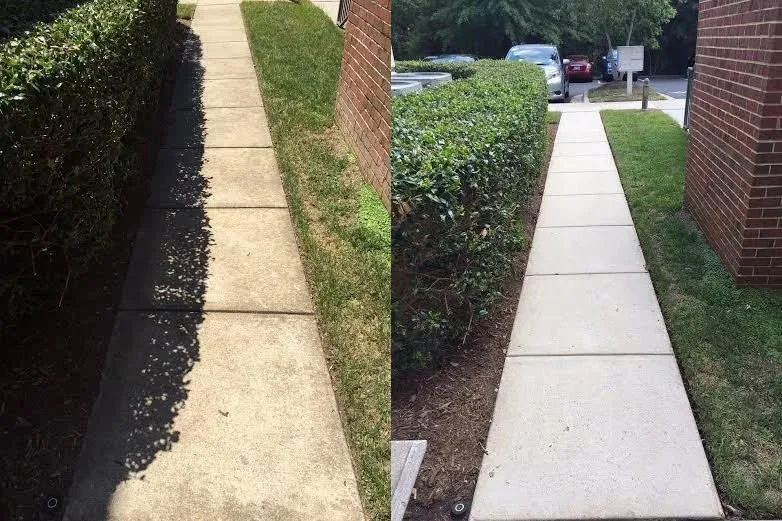 Reliable landscaping services for year-round maintenance across Raleigh, NC - Mohar Brothers Landscaping