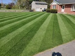 Expert landscaping services experts serving Raleigh, NC - Mohar Brothers Landscaping