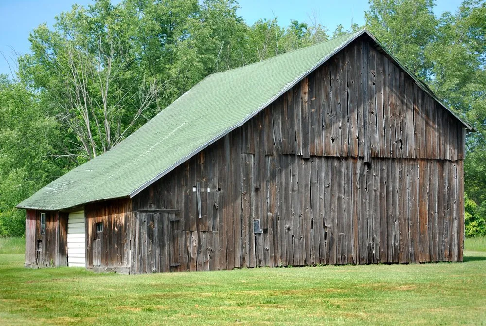 Professional yard maintenance experts serving Springfield, OR - Mohawk Mowing