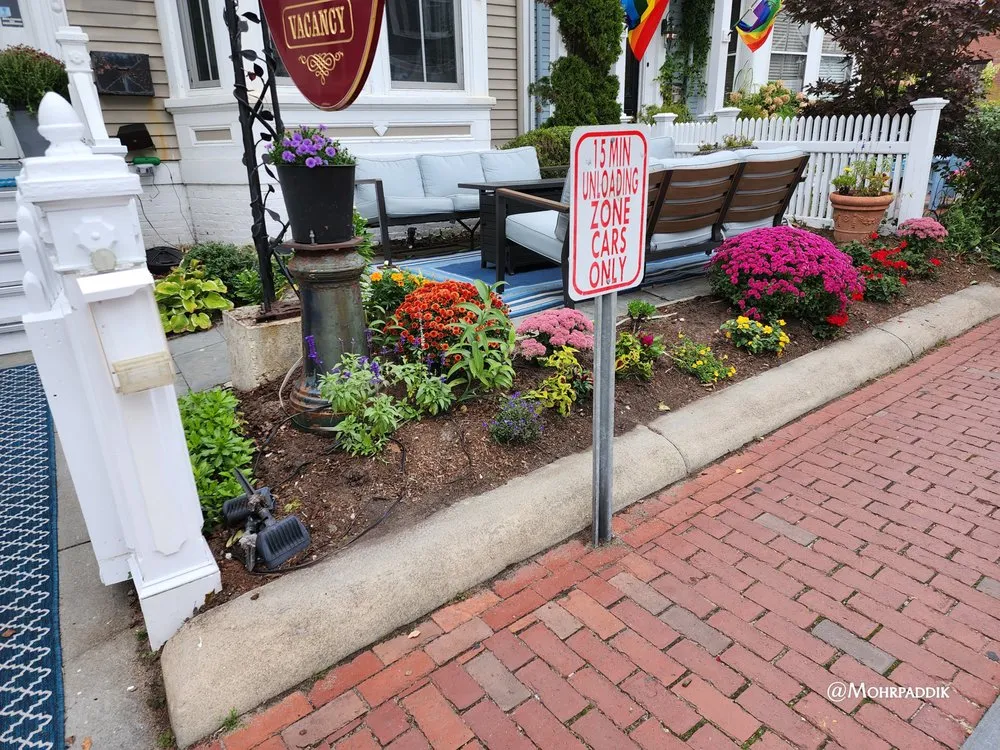 Trusted yard cleanup service experts serving Cumberland, RI - Mohr Landscape