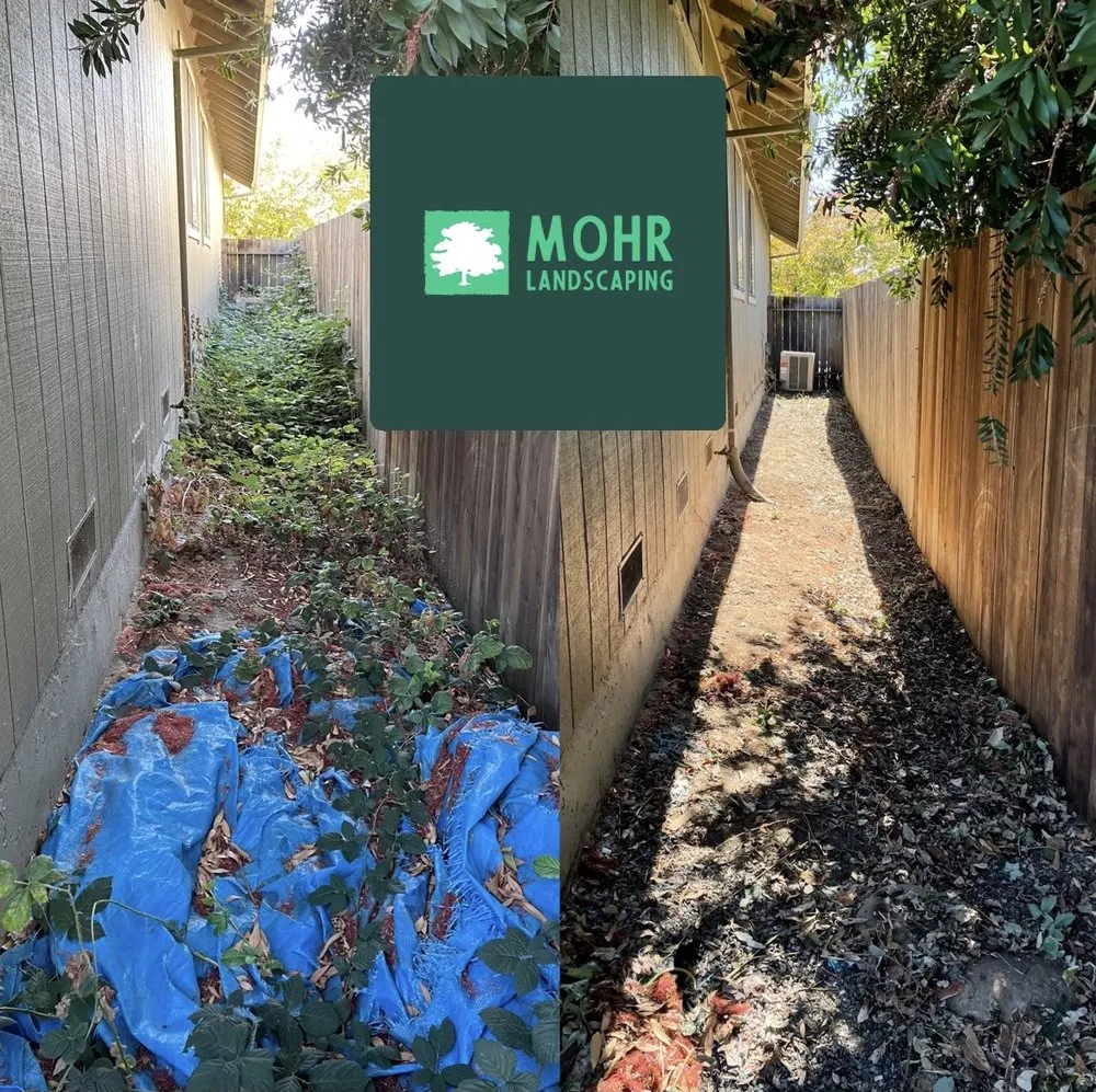 Professional residential landscaping in Windsor, CA - Mohr Landscaping