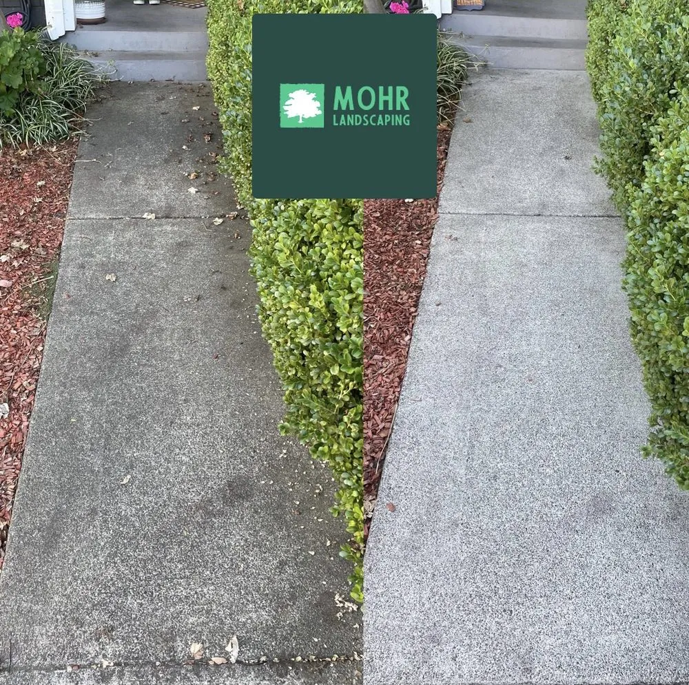 Local yard maintenance for residential properties across Windsor, CA - Mohr Landscaping