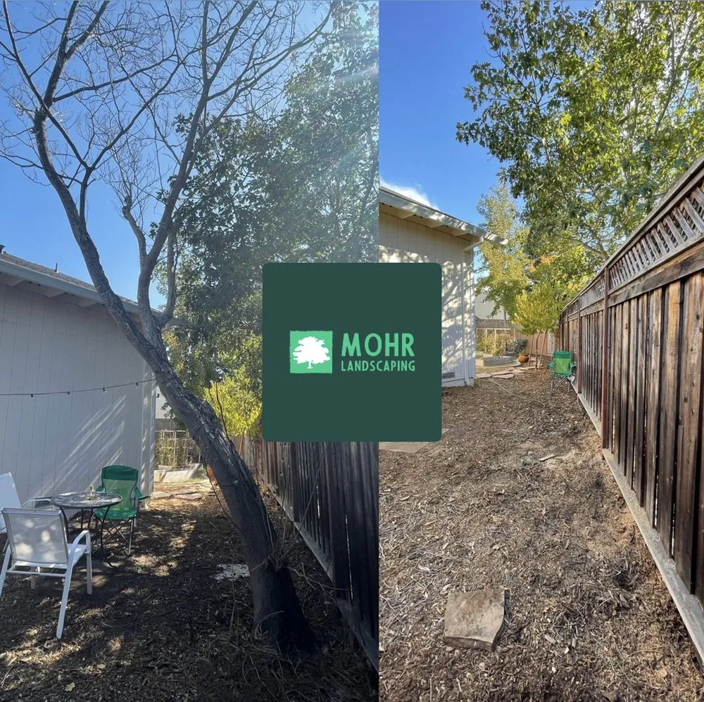 Top-rated residential landscaping experts serving Windsor, CA - Mohr Landscaping