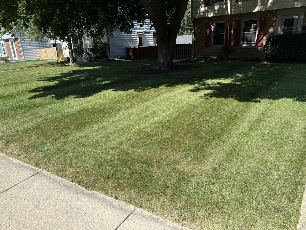 Custom lawn mowing service in Wauwatosa, WI by Moils Lawn and Landscape