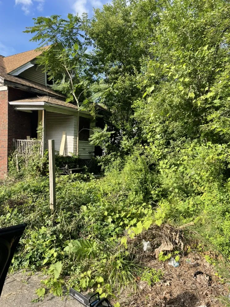 Reliable residential landscaping in Detroit, MI by Moireservicesllc