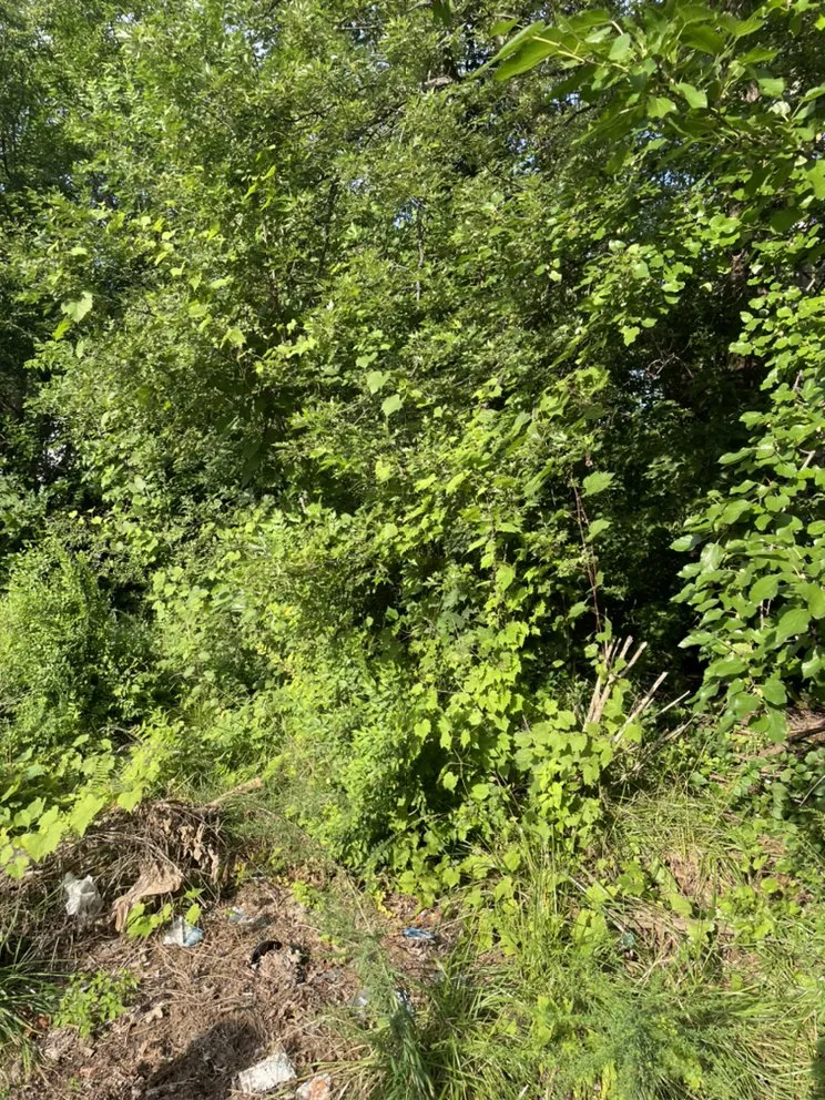 Custom garden landscaping for residential properties across Detroit, MI - Moireservicesllc