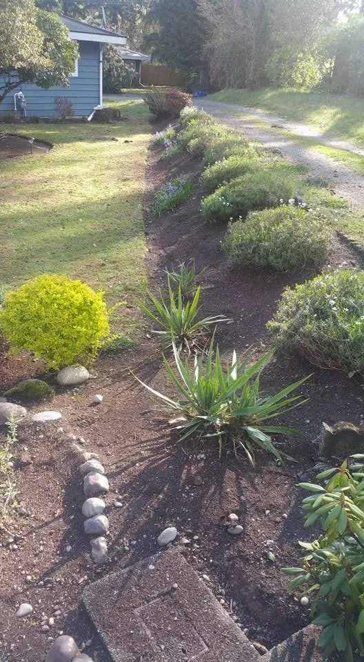 Local lawn care service in Kennewick, WA - Moi's Multi Services