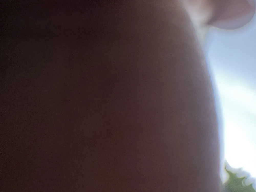 Professional lawn mowing service for year-round maintenance across Lynn, MA - Moises & Son Landscaping & Construction