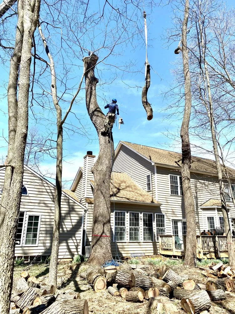 Custom garden landscaping in Herndon, VA - Moises & sons