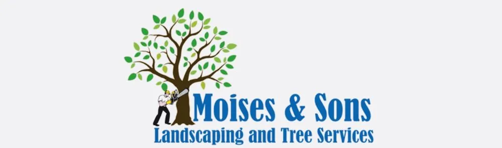 Reliable landscape installation experts serving Herndon, VA - Moises & sons