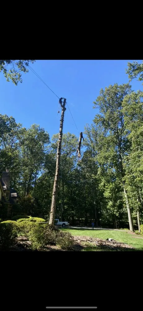 Trusted landscape installation experts serving Herndon, VA - Moises & sons