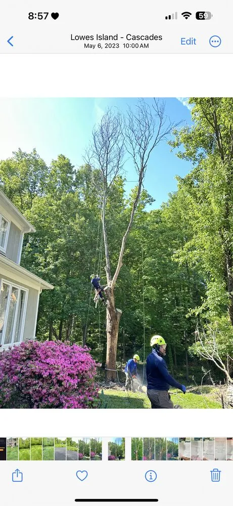 Custom outdoor landscaping for residential properties in Herndon, VA by Moises & sons