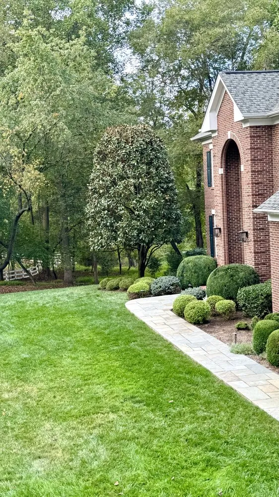 Custom yard maintenance in Herndon, VA - Moises & sons